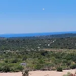 Pajo *