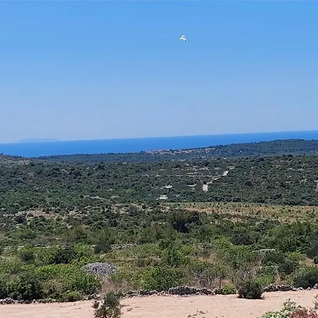 Pajo *